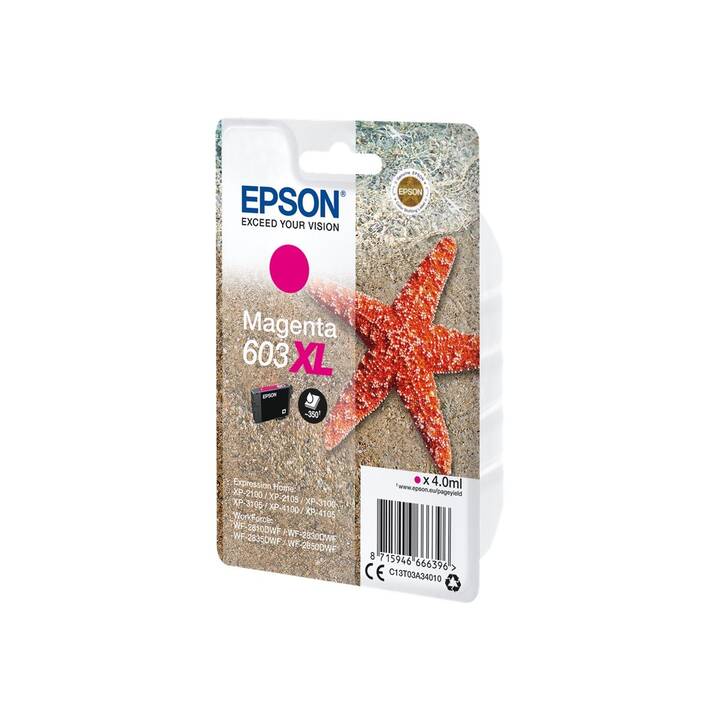 EPSON 603XL (Magenta, 1 pezzo)