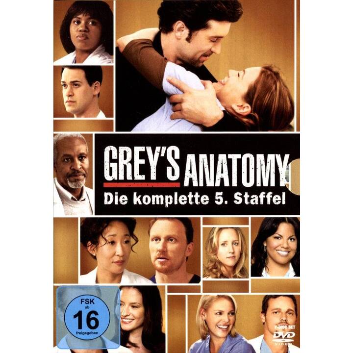 Grey's Anatomy Staffel 5 (DE, FR, EN)