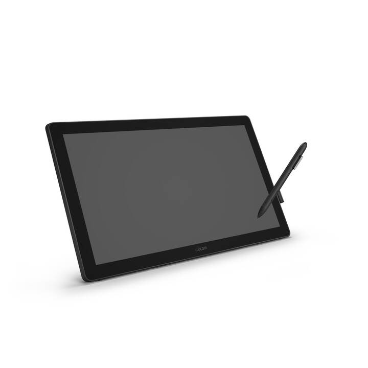 WACOM DTK-2451 (1920 x 1080)