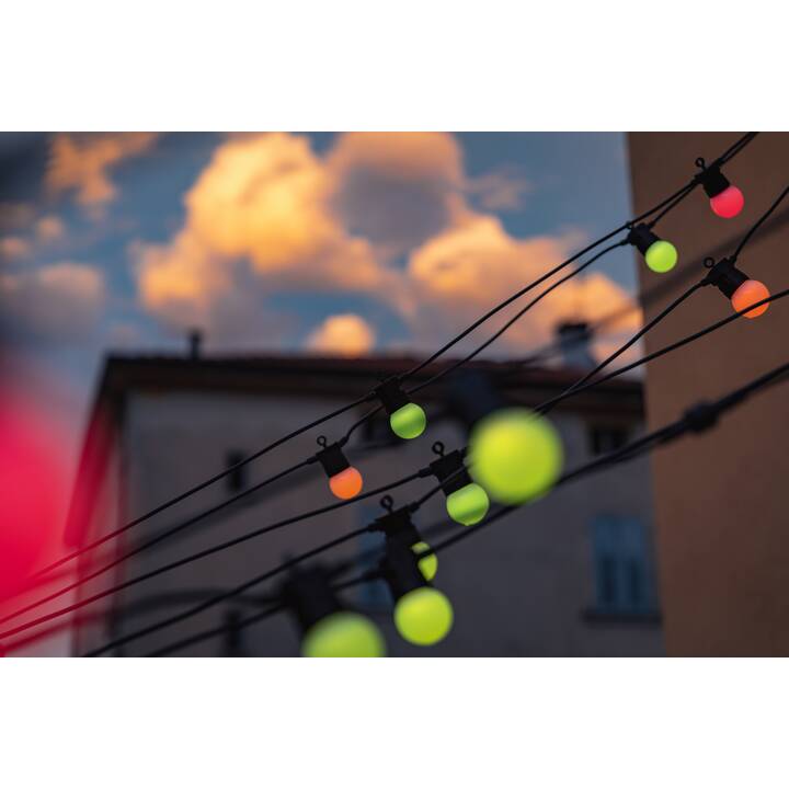 TWINKLY Festoon Lights G45 Ghirlanda di luci