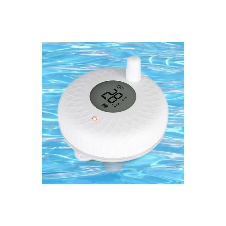 INKBIRD Termometro da piscina IBS-P01R