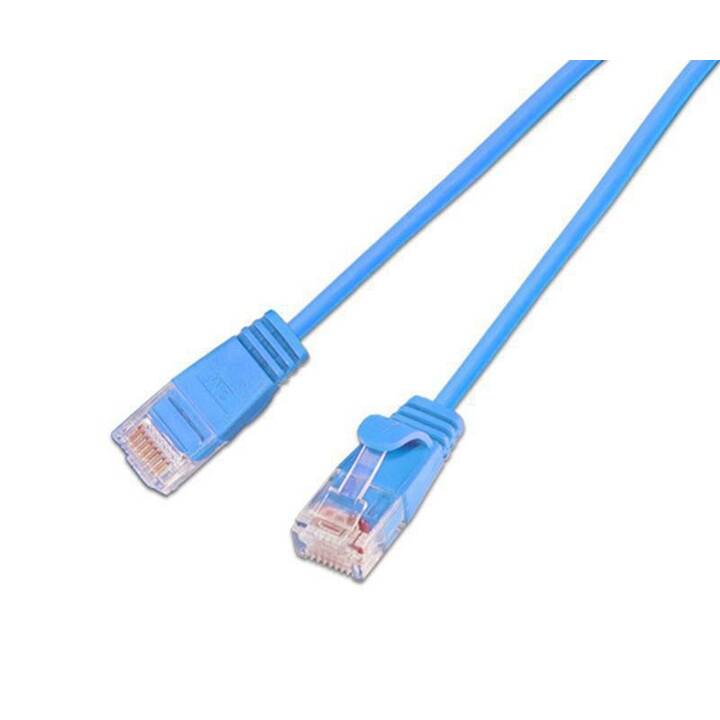 WIREWIN Slim Light Câble réseau (RJ-45, RJ-45, 15 cm)