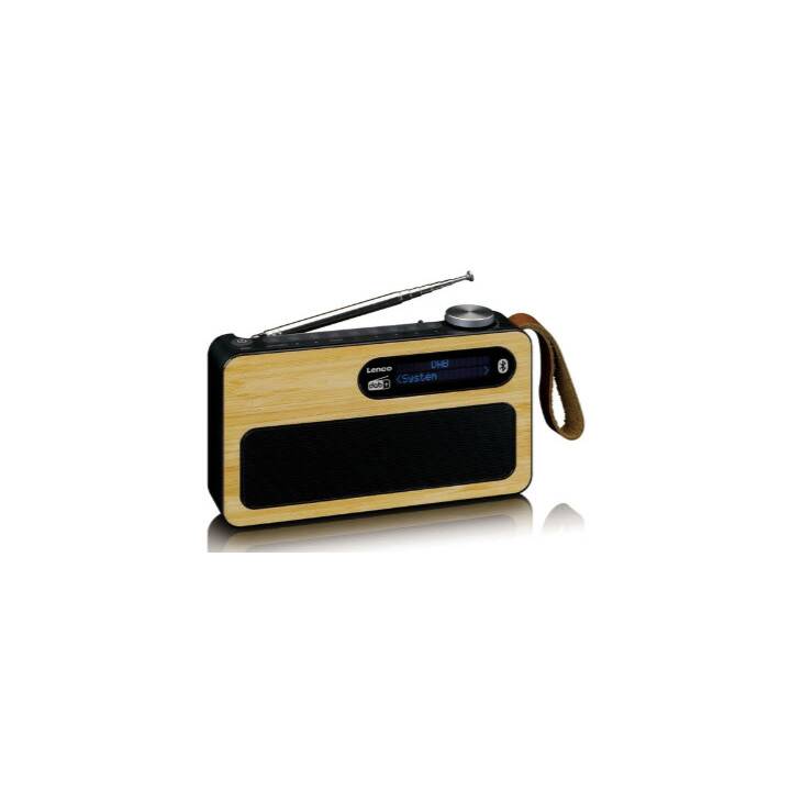 LENCO PDR-040 Radios numériques (Noir, Brun clair)