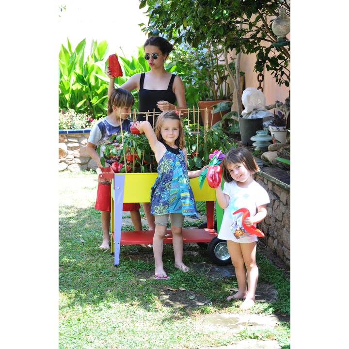 HERSTERA Jardiniere surélevée Garden Trolley Kids (Multicolore, 47 l, 65 cm x 75 cm x 35 cm)