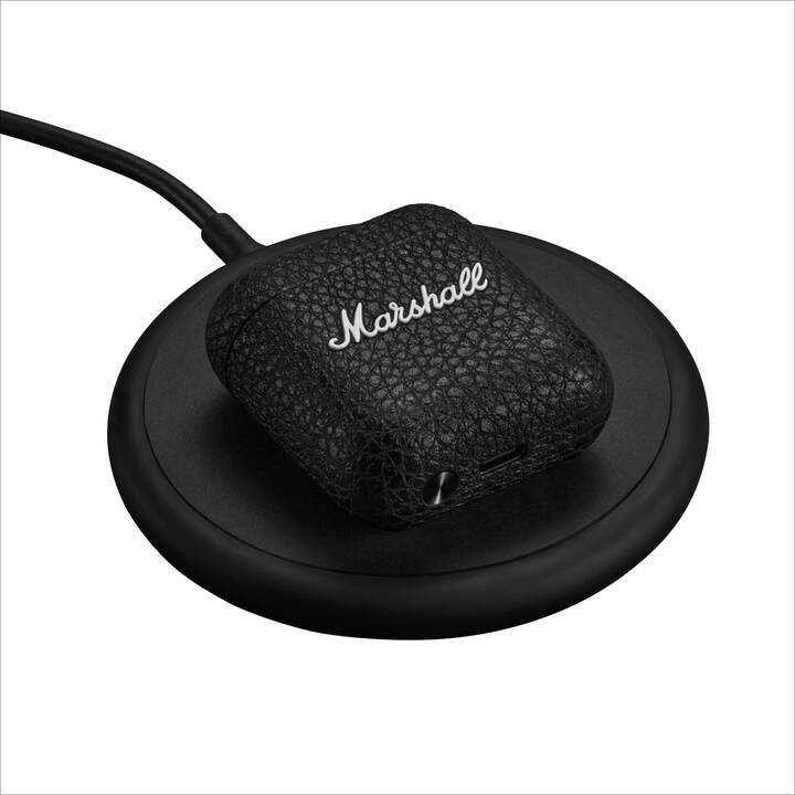 MARSHALL Minor IV (Noir)