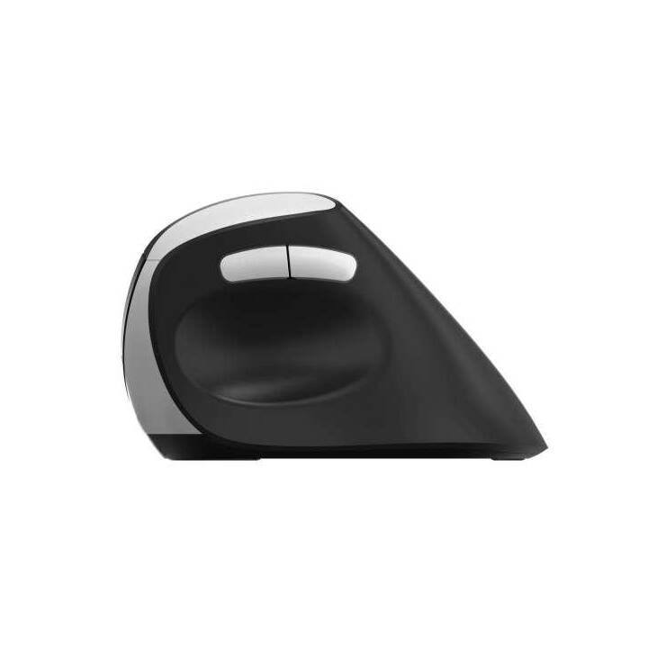 RAPOO EV250 Mouse (Senza fili, Office)