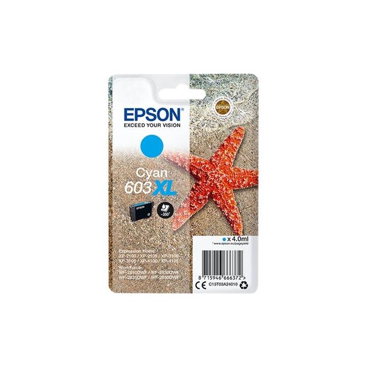 EPSON 603XL (Cyan, 1 pezzo)