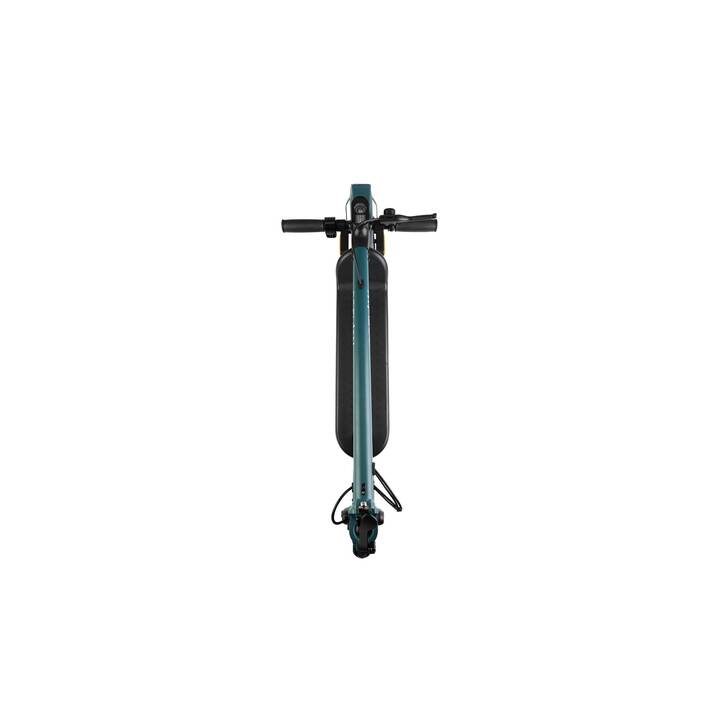 SOFLOW E-Scooter SO2 Zero (20 km/h, 300 W, 20 km, Schwarz, Blau)