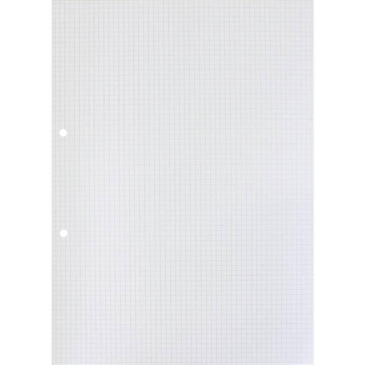 NATURALINE Foglio di input (A4, Quadrettato, 500 foglio)