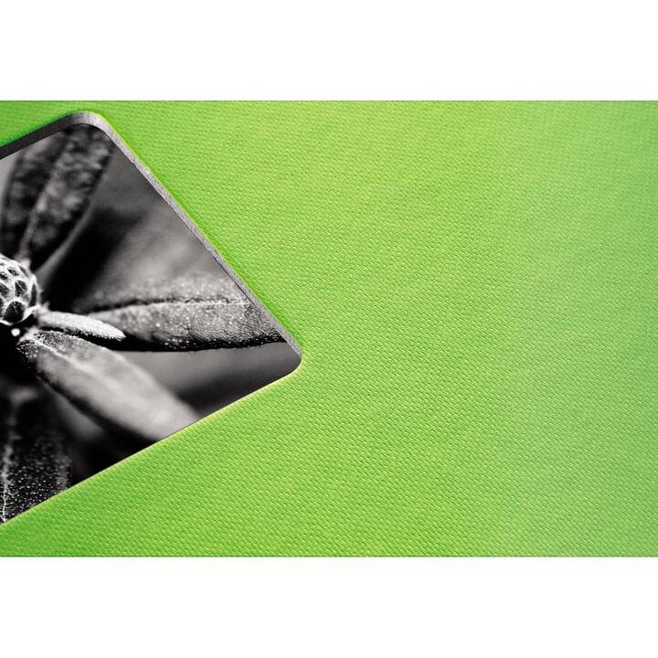 HAMA Album foto Fine Art (Verde, Bianco)