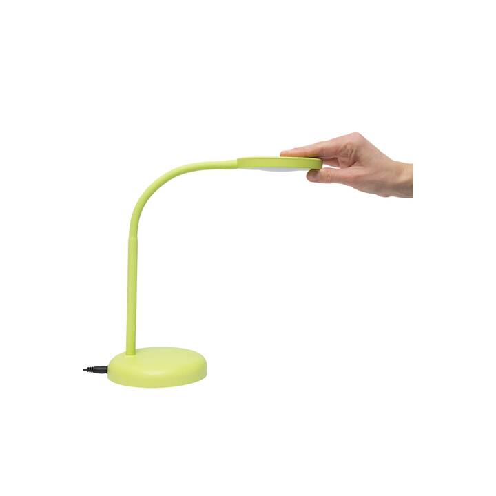 MAUL Lampe de table MAULjoy (Lime)