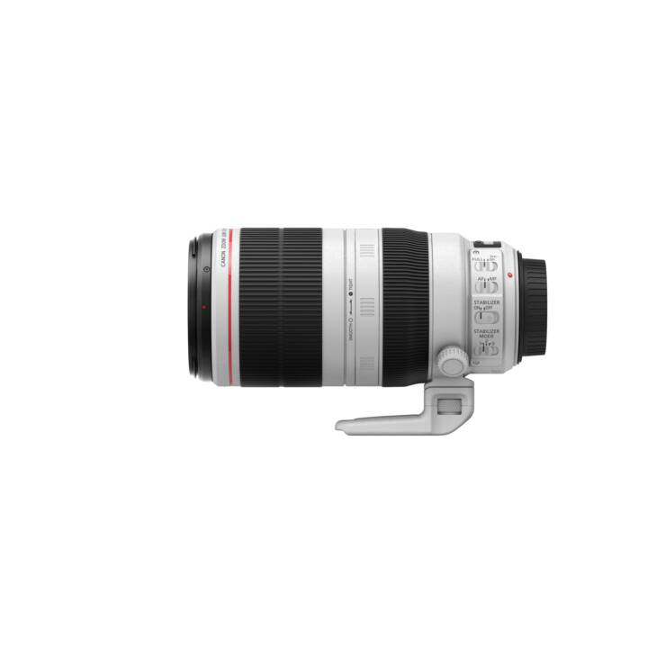 CANON EF 100-400mm F/4.5-5.6 L IS II USM (EF-Mount)