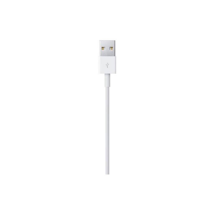 APPLE Câble (Fiche USB 2.0 de type A, Fiche Lightning, 0.5 m)