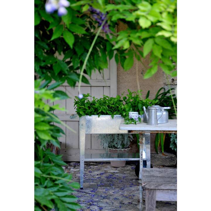 HERSTERA Hochbeet Urban Garden Trolley (Silber, 47 l, 80 cm x 75 cm x 35 cm)