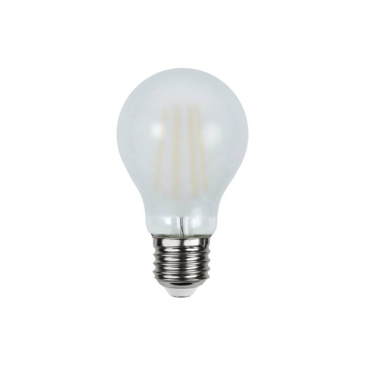 STAR TRADING Ampoule LED Frosted A60 (E27, 60 W)