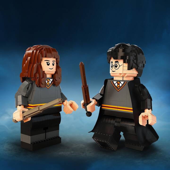 LEGO Harry Potter und Hermine Granger (76393, seltenes Set)