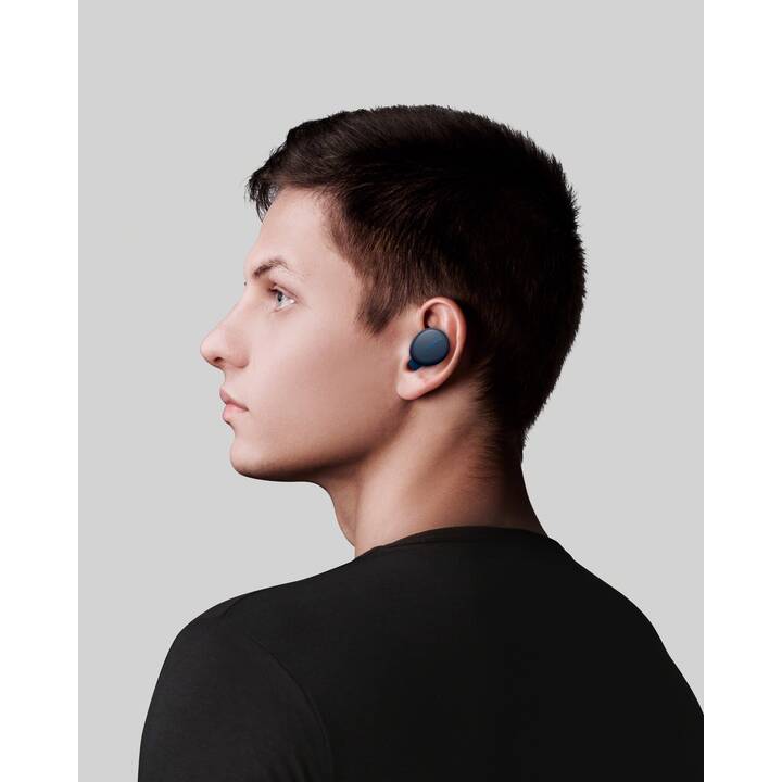 SONY WF-XB700 (In-Ear, Bluetooth 5.0, Blau)