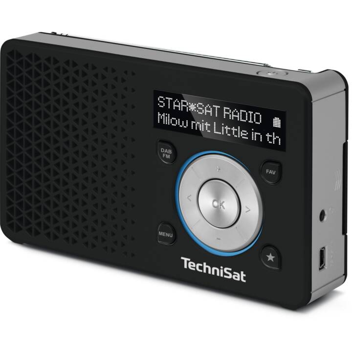 TECHNISAT DigitRadio 1 Radio digitale (Nero)