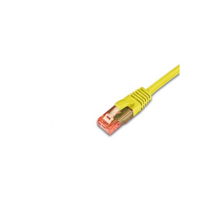 WIREWIN PKW-UTP-KAT6 Câble réseau (RJ-45, RJ-45, 0.25 m)