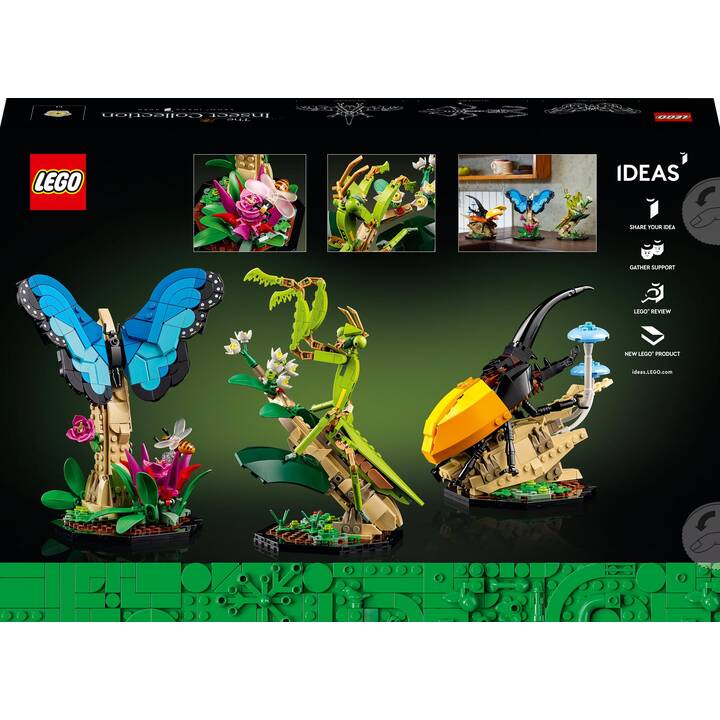 LEGO Ideas Die Insektensammlung (21342, seltenes Set)