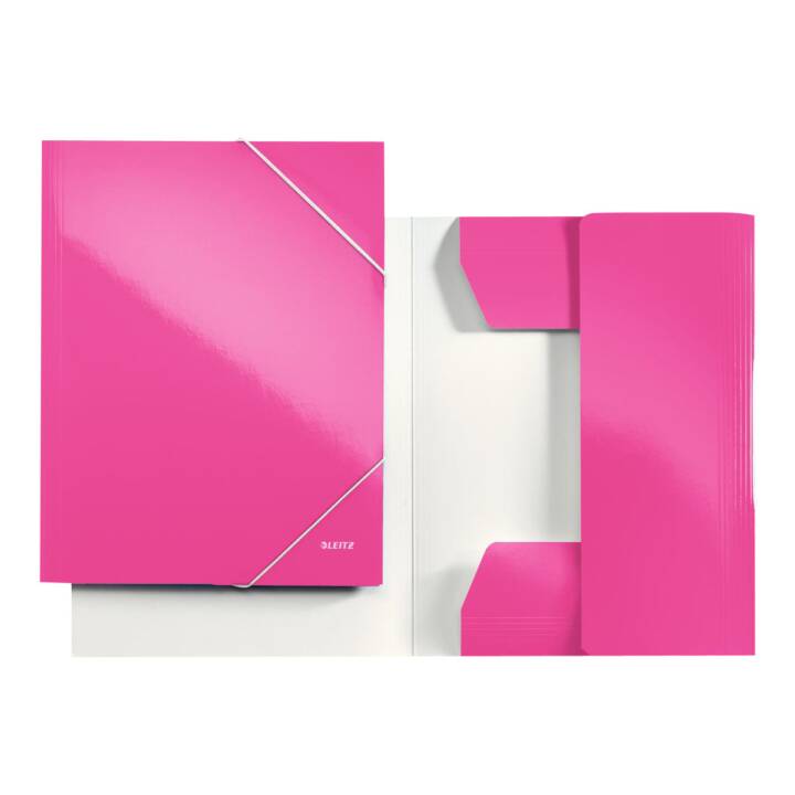 LEITZ Dossier à élastique (Pink, A4, 1 pièce)