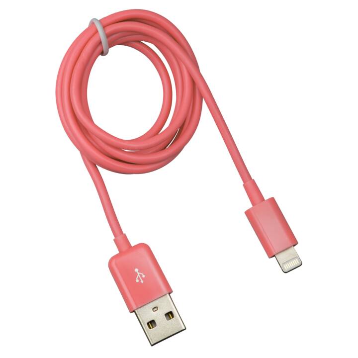 DEXIM iPod/iPhone/iPad USB DEXIM Câble de chargement parafoudre USB