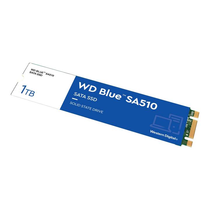 WESTERN DIGITAL WDS100T3B0B (SATA-III, 1000 GB)