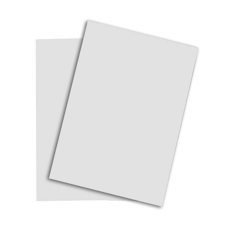 PAPYRUS Papier couleur (500 feuille, A3, 80 g/m2)