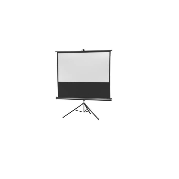 CELEXON Ecran de projection portable Eco (98 inch, 16:9)