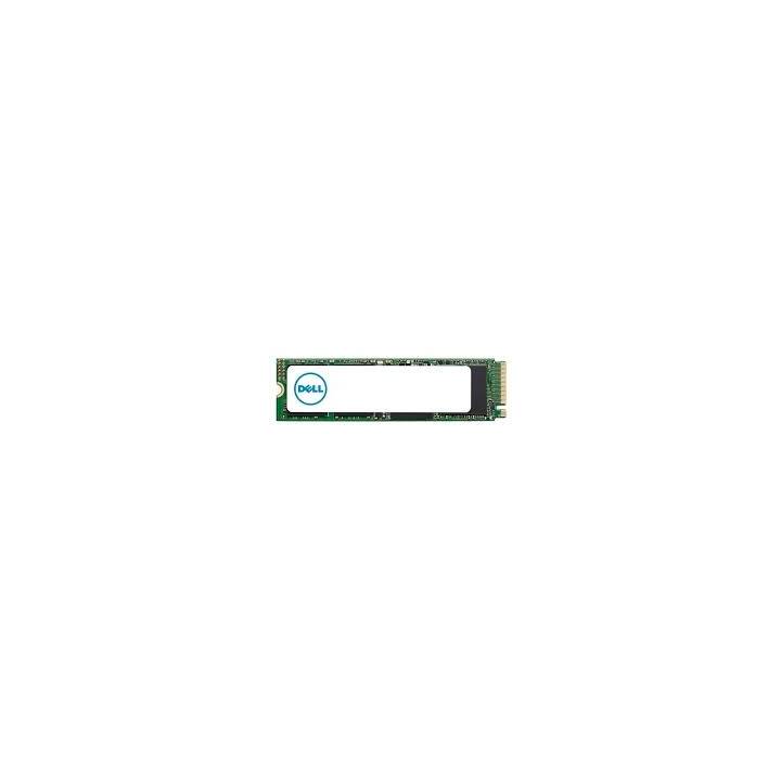 DELL AB292884 (PCI Express, 1 TB)