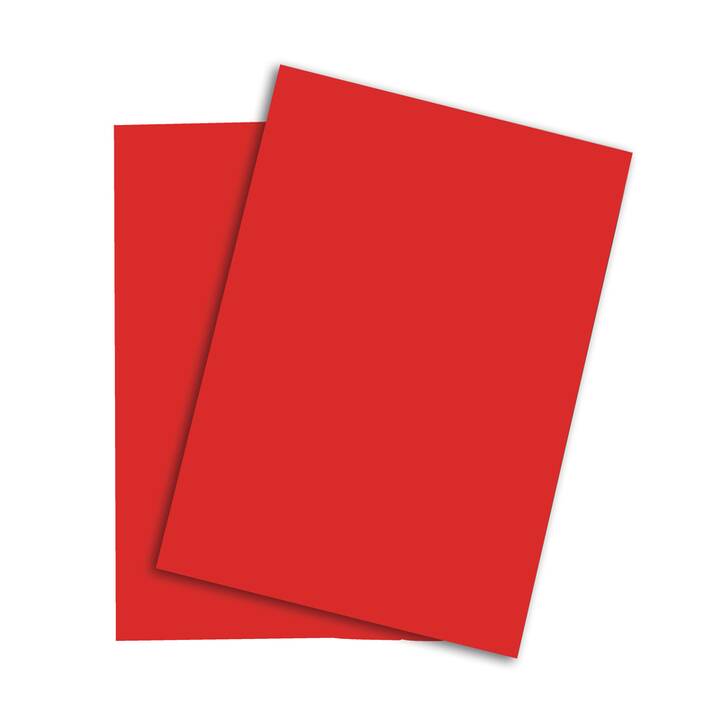 PAPYRUS Carta colorata (250 foglio, A3, 120 g/m2)