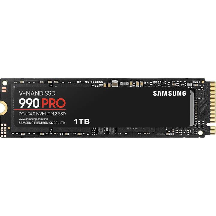 SAMSUNG EVO Plus 990 (PCI Express, 1000 GB, Schwarz) - Interdiscount
