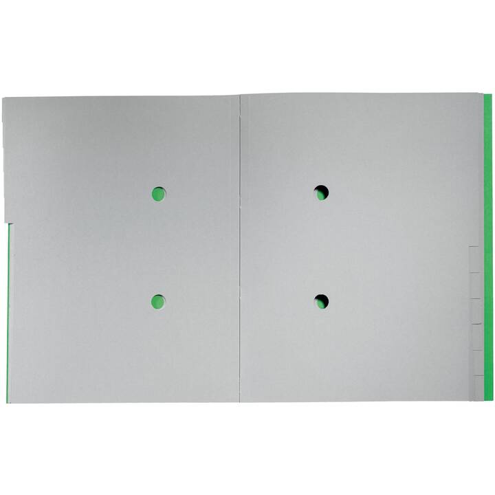 LEITZ Archivio a soffietto (Verde, A4, 1 pezzo)