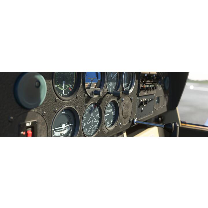 Flight Simulator 2020 (IT)