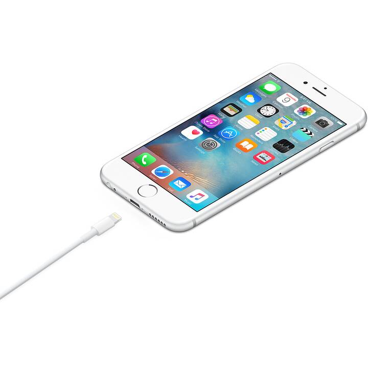 APPLE Lightning Kabel (Lightning, USB Typ-A, 1 m)