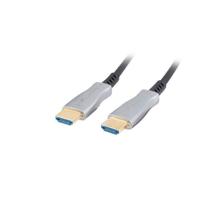 LANBERG Câble de connexion (HDMI Typ-A, 40 m)
