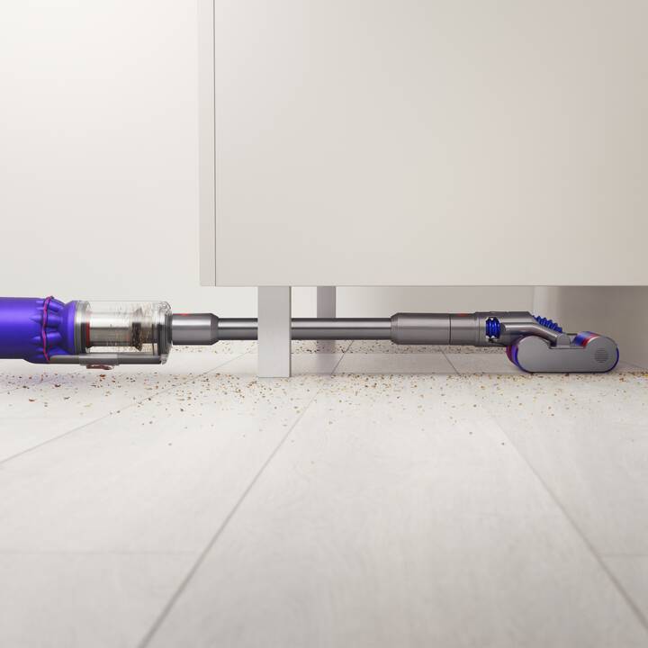 DYSON Omni-glide