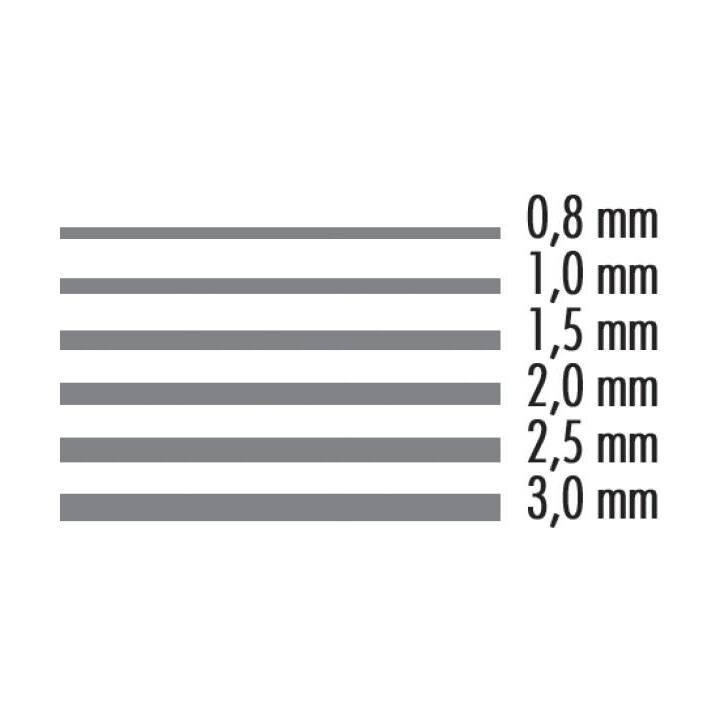 NEUTRAL Carton (80 cm x 110 cm)