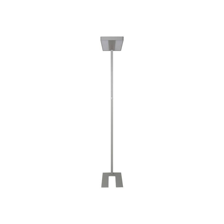 MAUL Lampadaire MAULjaval (196 cm)