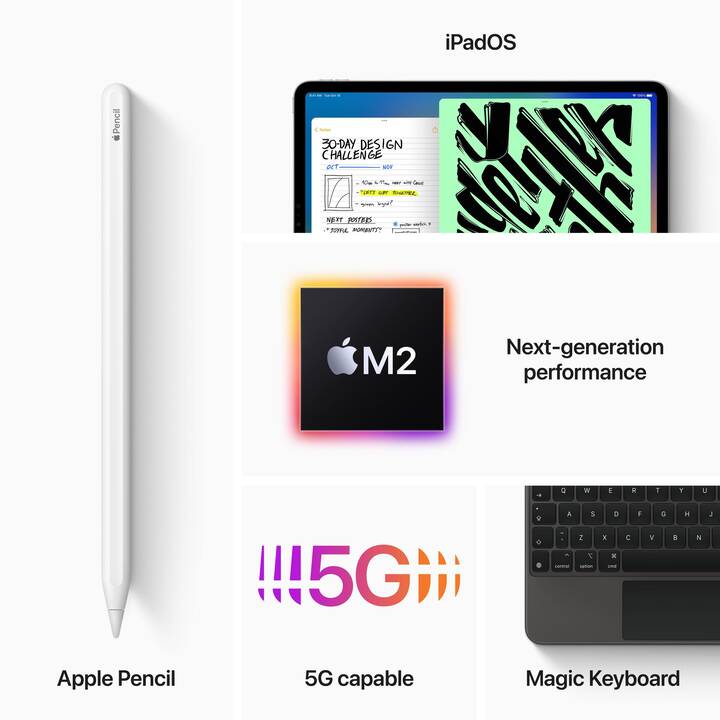 APPLE iPad Pro Wi‑Fi + Cellular 2022 6. Gen. (12.9", 256 GB, Gris sidéral)