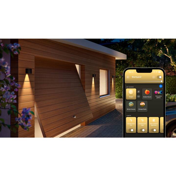 PHILIPS HUE Wandleuchte White and Color Ambiance Resonate (8 W, Schwarz)