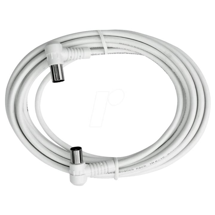 AXING Kabel (IEC, 2.5 m)