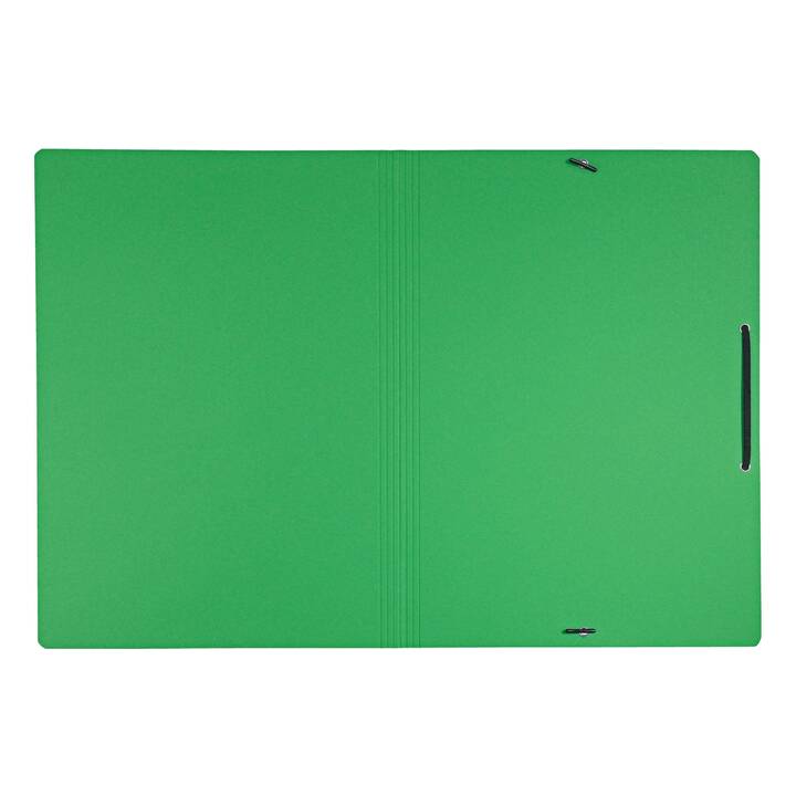 LEITZ Cartellina con elastico (Verde, A4, 1 pezzo)