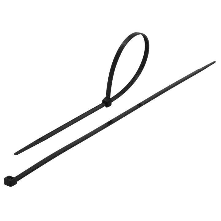 MAX HAURI Colliers de câbles schwarz (10 cm, 100 pièce)