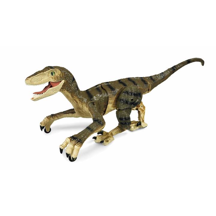 AMEWI Velociraptor