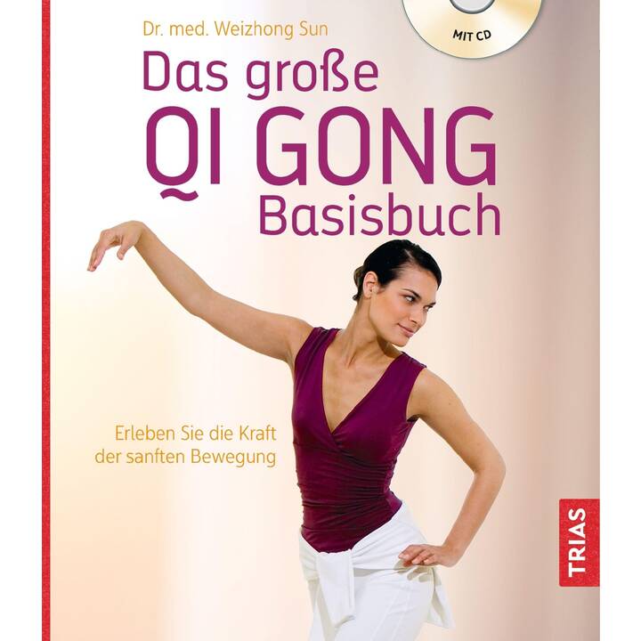 Das grosse Qi Gong Basisbuch