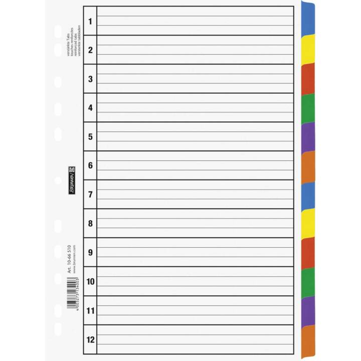 BRUNNEN Registro (12 x A4, Coloristico)