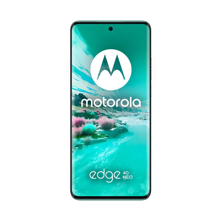 MOTOROLA Edge 40 Neo (256 GB, Vert, 6.55", 50 MP, 5G)