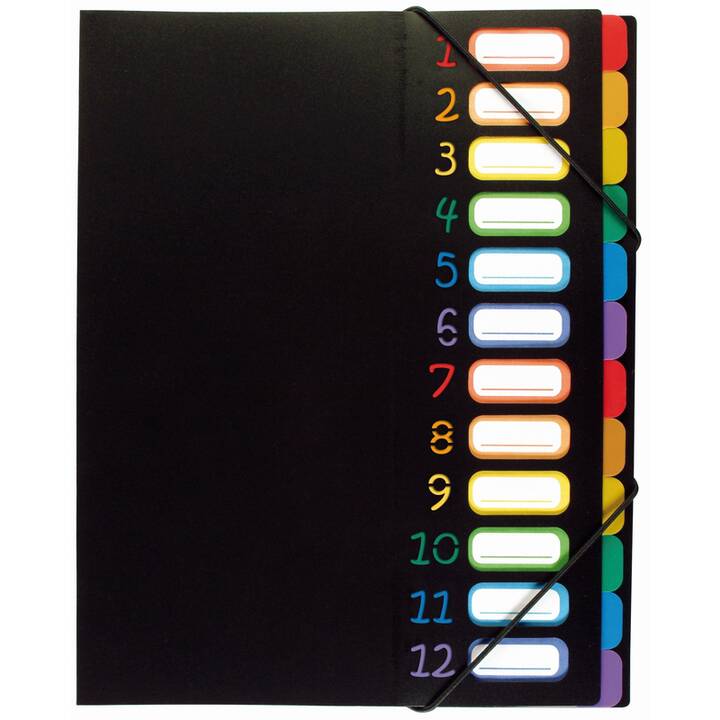 VIQUEL S.A.S Dossier à élastique (Multicolore, Noir, A4, 1 pièce)