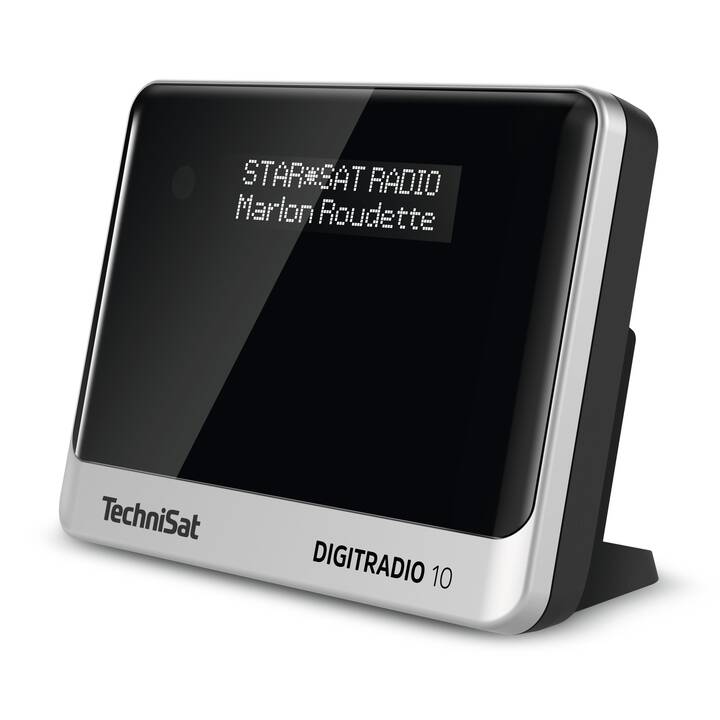 TECHNISAT DigitRadio 10 Digitalradio (Silber, Schwarz)